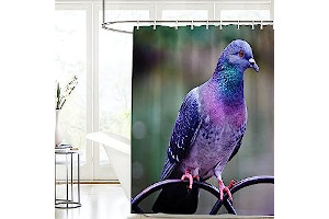 Telas Para Cortinas Paloma