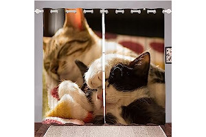 71hyIOHihXL._AC_UL320_